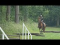 Tartan Treasure - Ex Racehorses for Rehoming - Retraining Racehorses - Jumping Video