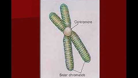 Fundamentals of Soil Science (Lecture-5th) Unit-VII: Soil of India, Podzolization, …