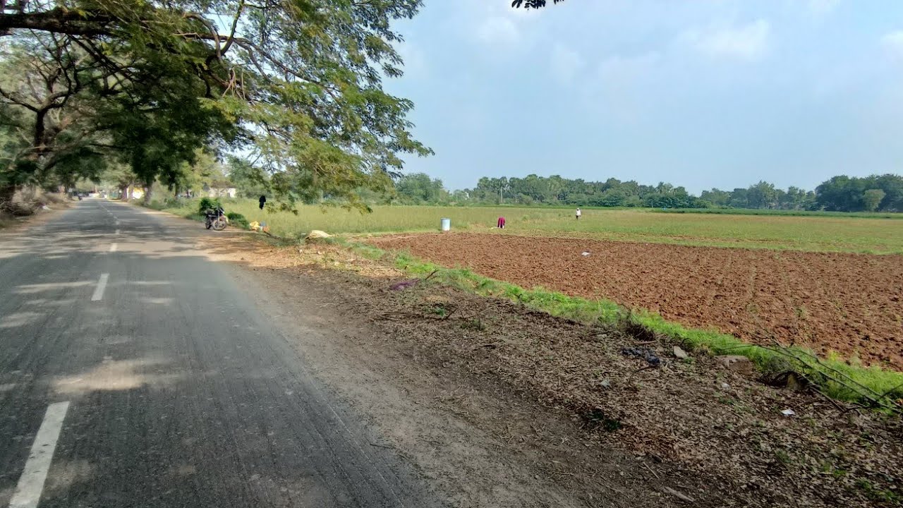  5+2 ACRES SALE అగ్రికల్చర్ LAND NARASARAOPET MUNUMAKA RR