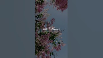 #ياسر_الدوسري #سورة_الاسراء #قران #دين #اسلام #اكسبلور #yasser #yasseraldosari #islam #quran #fyp