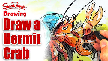 How to draw a Hermit Crab