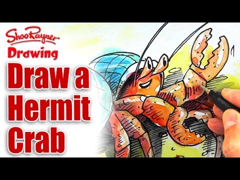 Comment dessiner un crabe Ermite