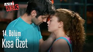 Acil Aşk Aranıyor 14. Bölüm Özeti