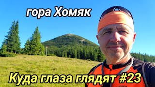 видео: Куда глаза глядят #23. 2025г. Гора Хомяк. картинка: Куда глаза глядят #23. 2025г. Гора Хомяк.