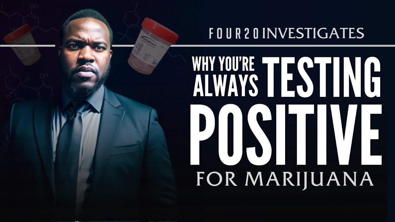 How long does cannabis stay in your system? How can you fail a drug test?