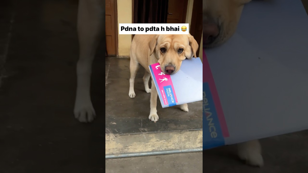 pdna to pdta h bhai😂 || labra rubi || 