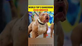 😱3 Dangerous Dogs in India Ranked 😨 #shorts #facts #tamilfacts #pitbull #doglife