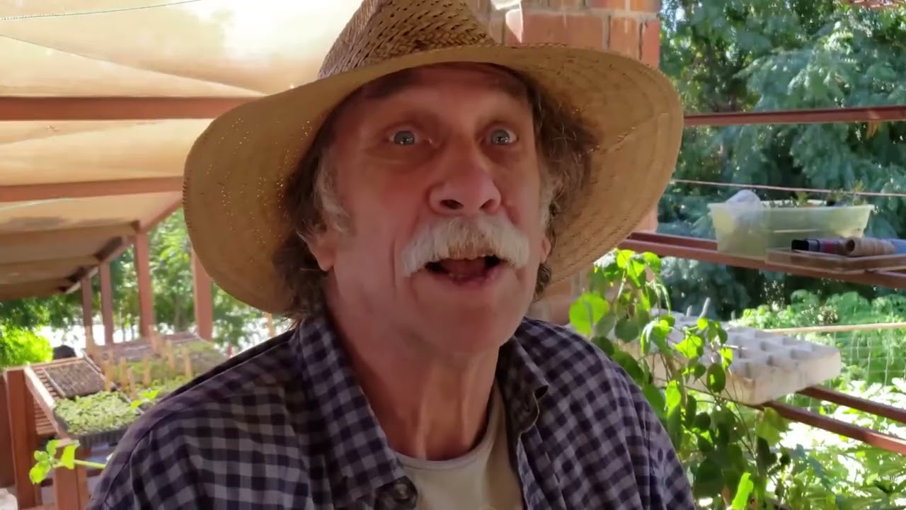 PRODUIRE EN AGRICULTURE SANS ENGRAIS CHIMIQUE|| HOW TO PRODUCE VEGETABLES WITH NATURAL FERTILERZER.