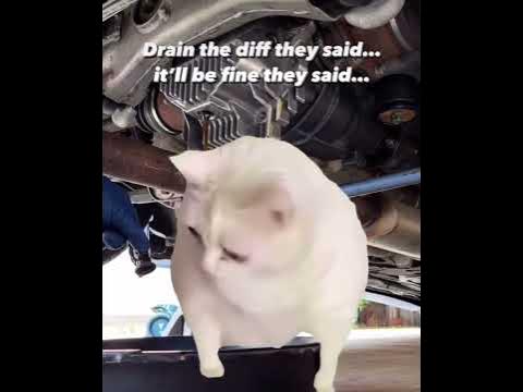 THAT GEAR OIL SMELL - YouTube