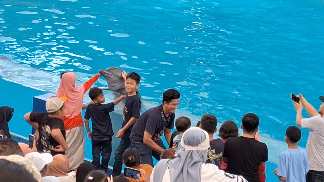 Lumba Lumba Gelanggang Samudera