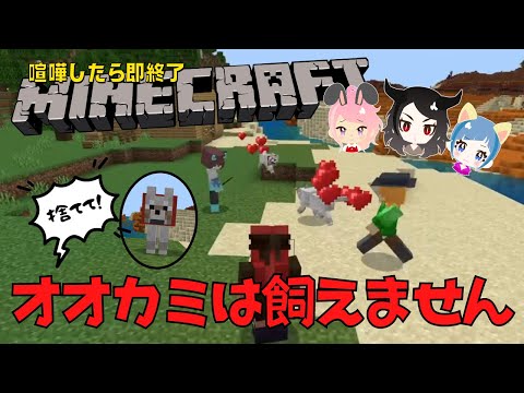 【マインクラフト】オオカミは狭い家での飼育には不向き★小学生姉弟が互いの狼をけしかけた戦争の結末は？【喧嘩したら即終了】