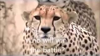 Trailer for Precalculus