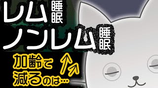 レム睡眠ノンレム睡眠 　特徴、加齢による変化など