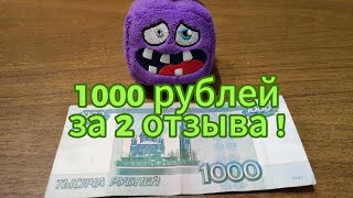 Платят 1000 рублей за ДВА отзыва - ЗАРАБОТОК на отзывах в 2024 - личный опыт - добрые слова о банке