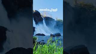 Athirappilly mng vibe