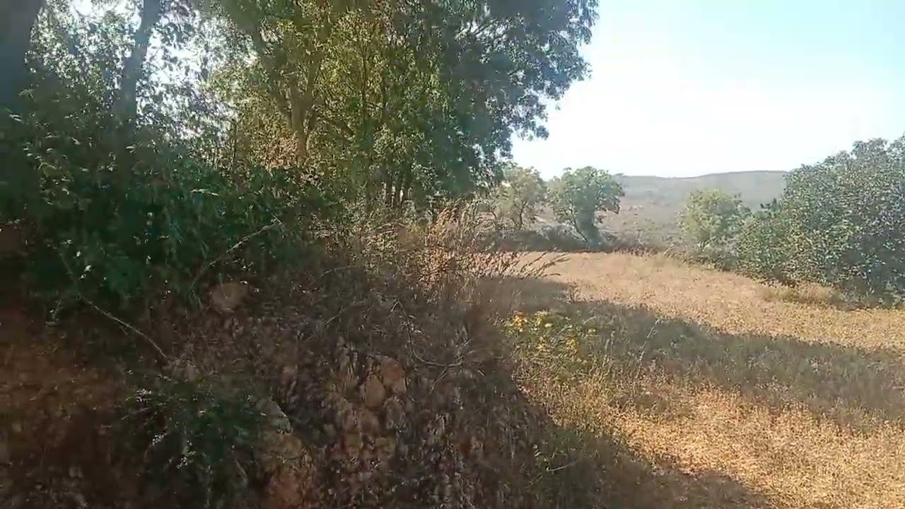 Hi this Land DKT Land 6 Eacrss totally Bite price 75 Lakhs (vishvam college)  AP 8179164284