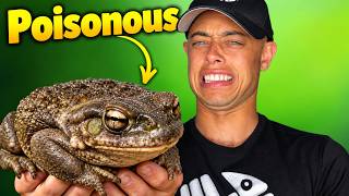 Wild Man Dan’s Poisonous Toad Presentation! 🐸☠️
