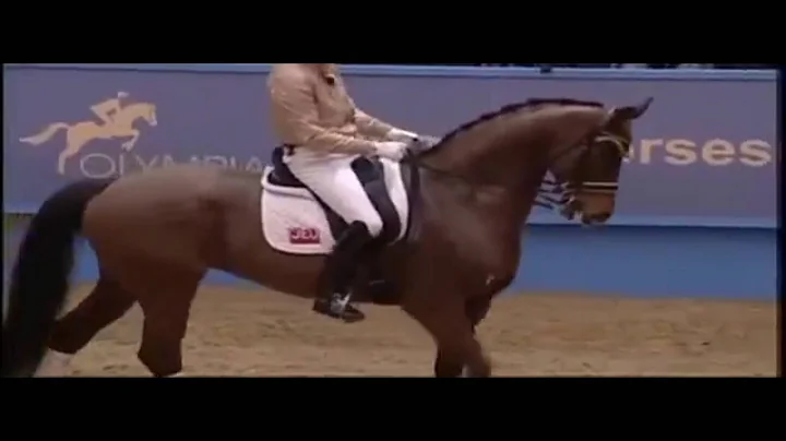 Edward Gal's Schooling Progam