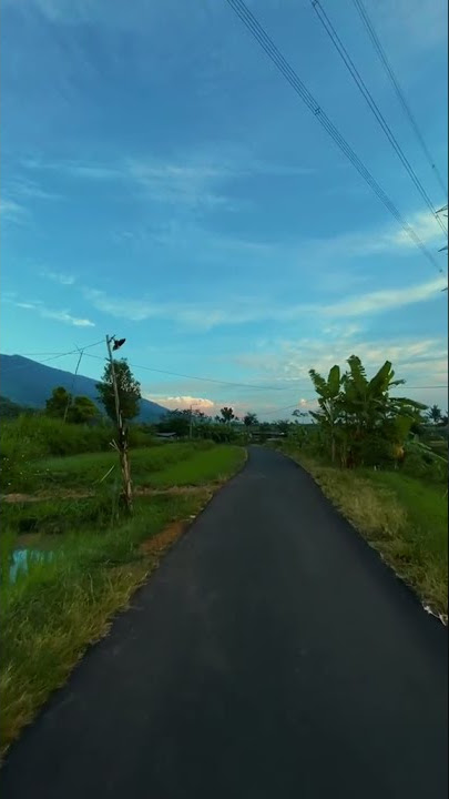 Story WA 30 Detik ' WIDODARI ' Deni Caknan Feat. Guyon Waton