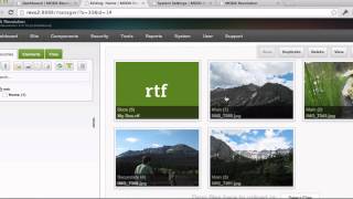 Asset Manager Demo