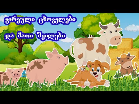 შინაური ცხოველები და მათი შვილები, ვიდეო პატარებისთვის