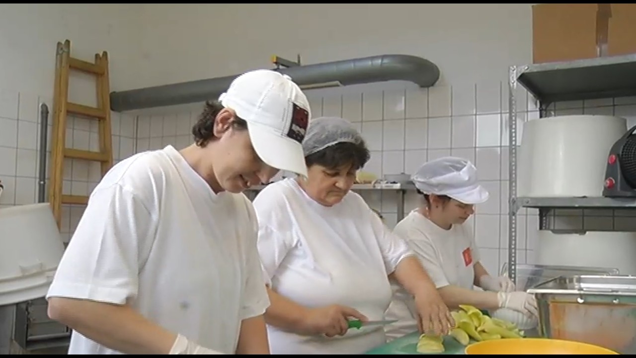 Hajdúnánási Televízió: Jól teljesített a Gyermek- és Közétkeztetési Nonprofit Kft.  2026.02.27.