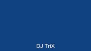 DJ TriX 2nd mix house