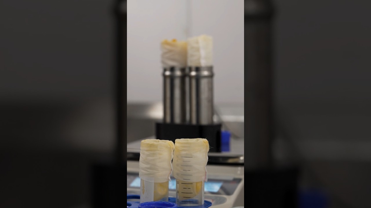 What goes into Live Resin vape?