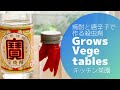 ハダニ駆除撃退!  焼酎と唐辛子で作る植物用殺虫剤はガーデニングの強い味方。Repel spider mites! How to make insecticide made from food.