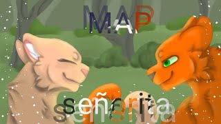 COMPLETE MAP PMV | Señorita | Cats Warriors