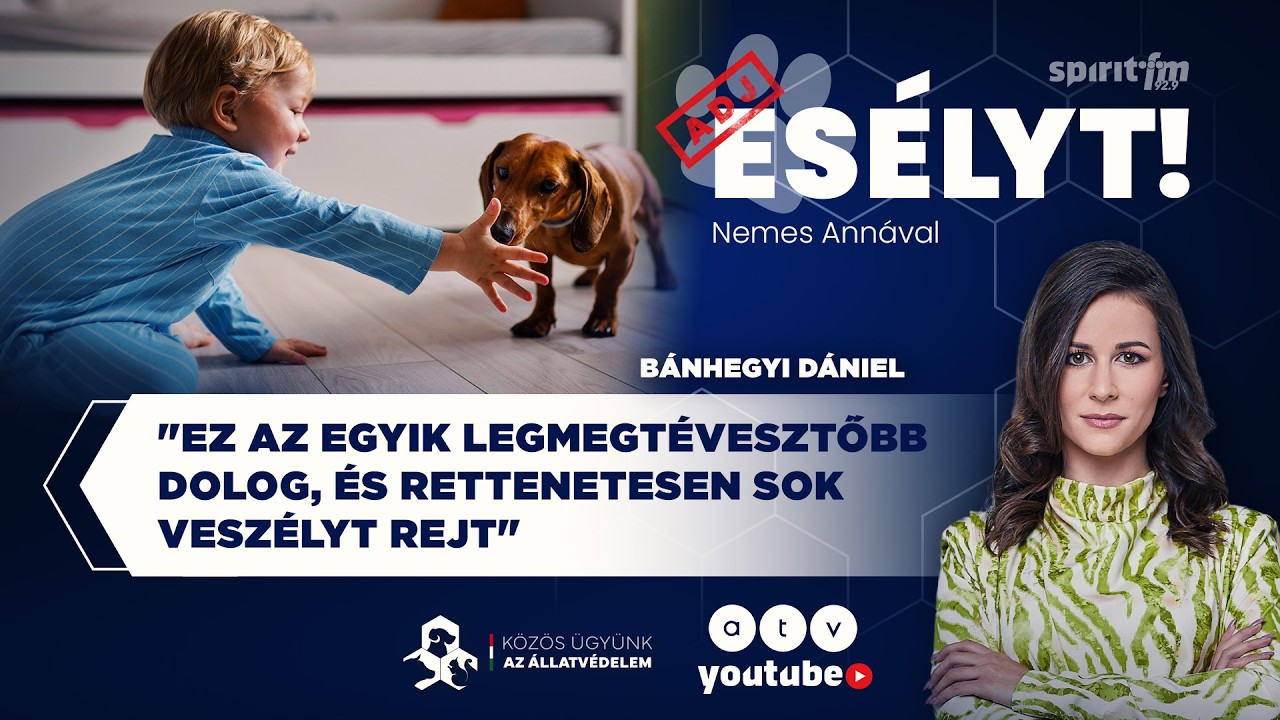 Segítség, bővül a falka! | ADJ ESÉLYT!