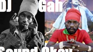 SIZZLA KALONJI - Hardcore Hustler,ASSASIN -Rebellious Nature + Arise &amp; Shine Riddim -2013