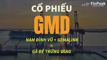 Cổ Phiếu GMD 🔍: Gemalink & Cảng Biển Bắc Đóng Góp Tăng Trưởng 2025F | Phân Tích và Định Giá Gemadept