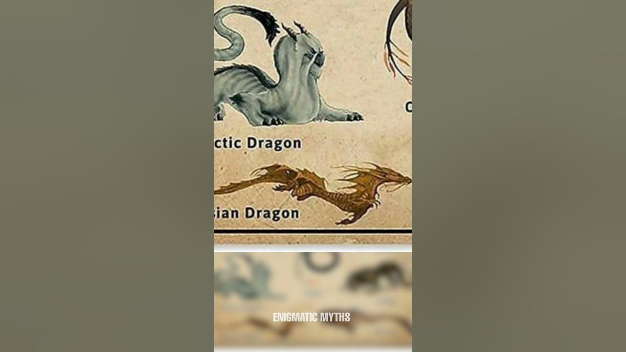 Types Of Dragons | Asian Dragon | Part- 7 #shorts