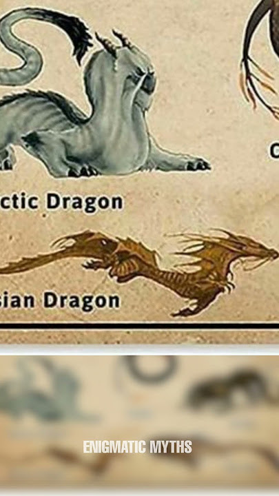Types Of Dragons | Asian Dragon | Part- 7 #shorts