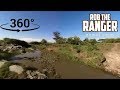 Maasai Mara Virtual Safari Drive (In 360° VR) | Zebra Plains