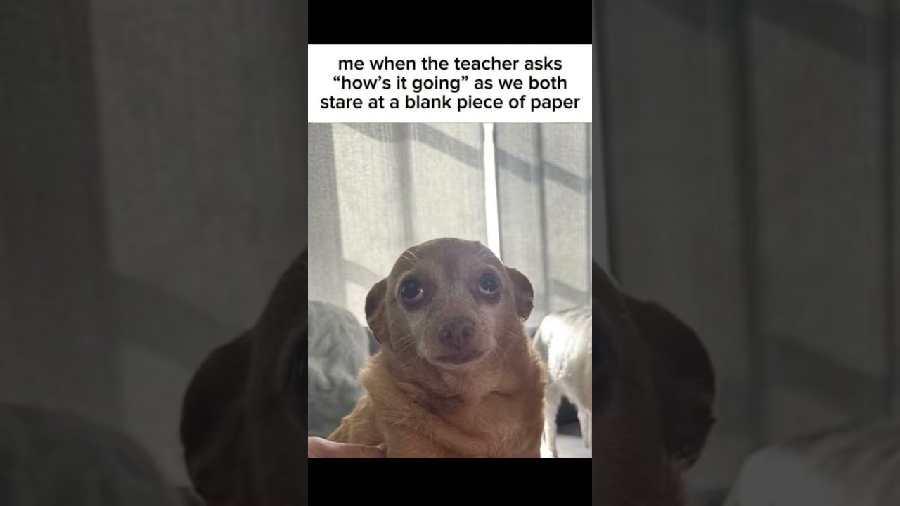 blank piece of paper