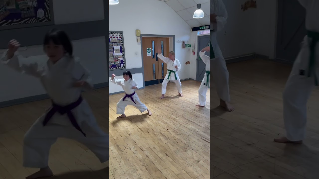 Karate Girls #karatekid #karate #shotokan #kids #kidsvideo #jka #sports #sport #kata #music #live
