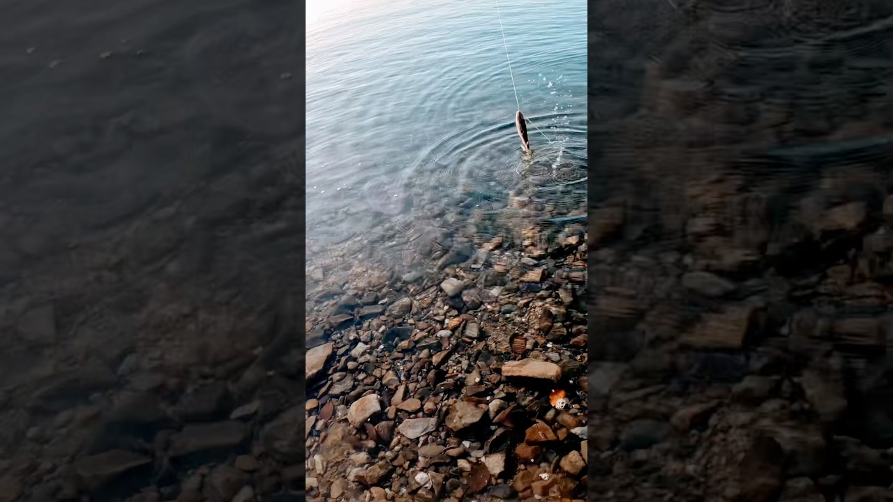 Port Adelaide Fishing 