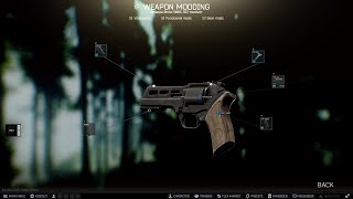 Chiappa Rhino 50DS 357 revolver - Escape from Tarkov | Review #10 (-) Chiappa Rhino 50DS 357 revolver - Escape from Tarkov | Review #10 (-)
