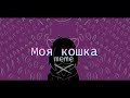 Моя кошка (my cat) | MEME