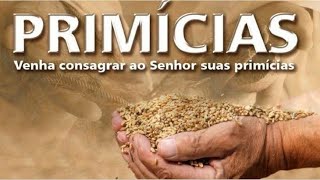 O quê a bíblia diz sobre primícias no dicionário bíblico...