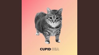Cupid Oiia