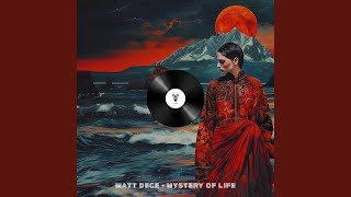 Mystery Of Life (Original Mix)