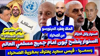 طرد المينورسو و قيس يفعلها أخيرا و الجزائر في ورطة كبيرة و طرد شاب بلال و إعفاء وهبي