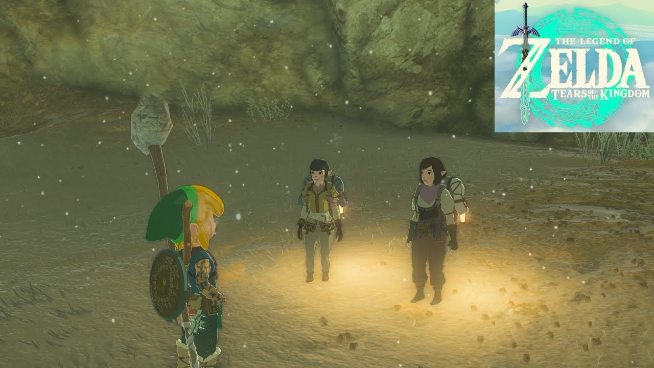 Zelda: Tears of the Kingdom [Switch 2] 