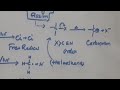 Bond fission ||homolytic and heterolytic ||reaction intermediate@arunavsir