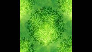 Chakra Attunement with Melissa Halsey: 04/22/2026