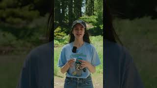 Trash Talk Tuesday Episode 11 How To Properly Dispose Of Polystyrene Packing Peanuts