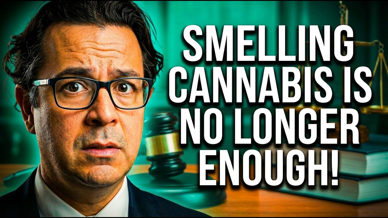 Почему запах каннабиса больше не является достаточным основанием для обыска автомобиля?